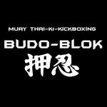 Budo-Blok Muay Thai k1 Kickboxing